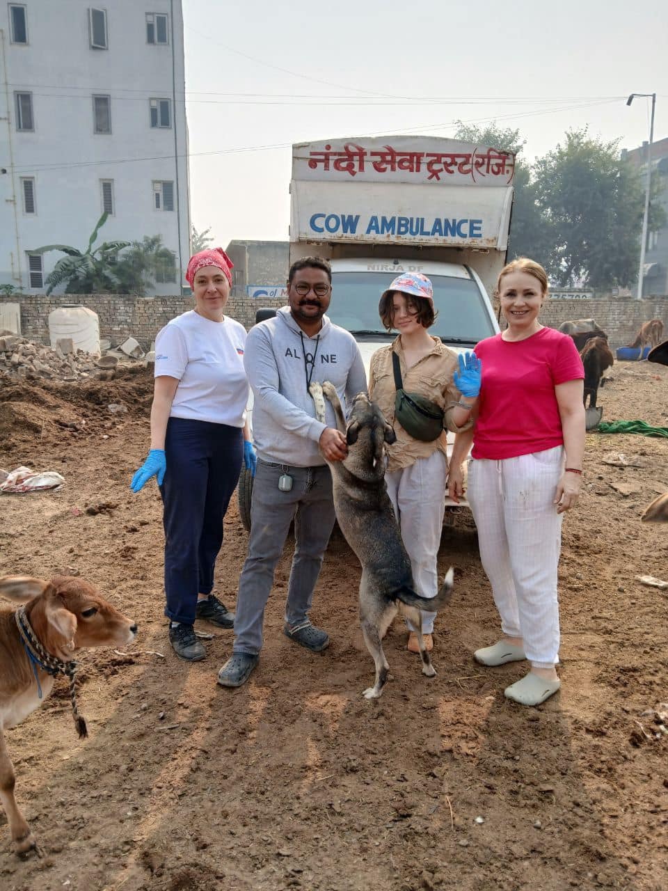 Click On Picture to See More Picture